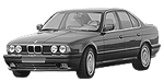 BMW E34 P208B Fault Code
